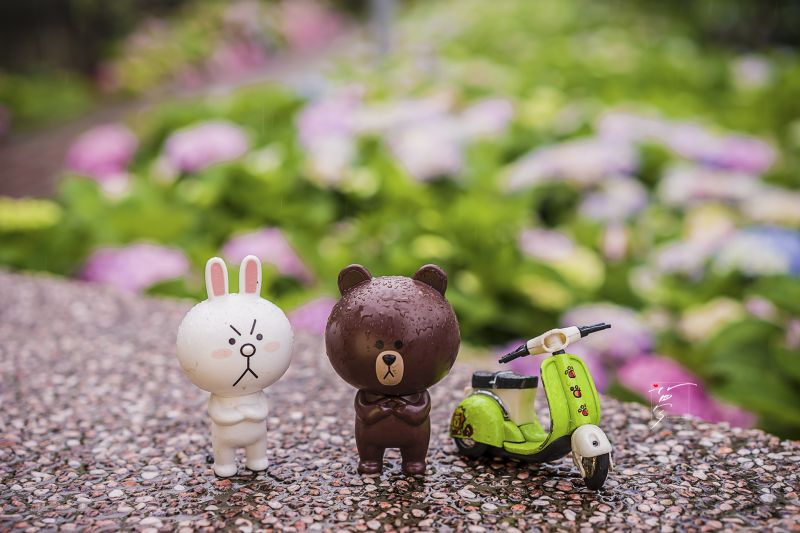 攝影:愛心夢\FB:https://www.facebook.com/Love.Heart.Dream.Blog