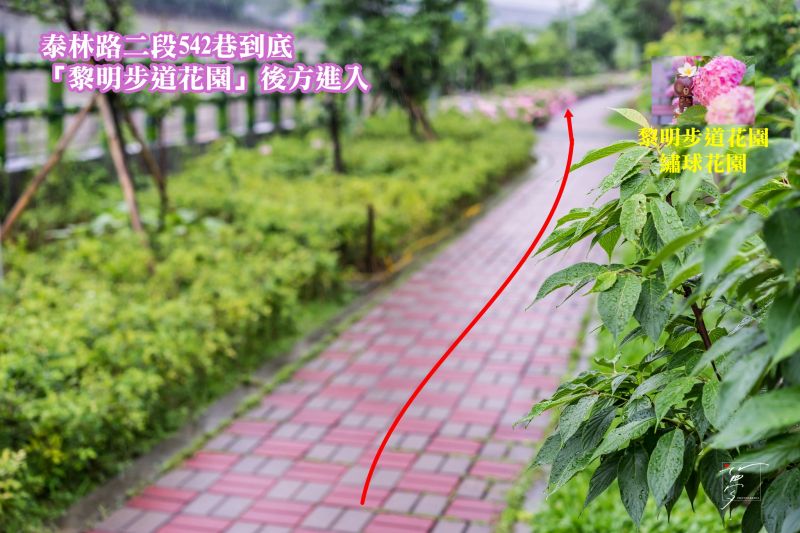 攝影:愛心夢\FB:https://www.facebook.com/Love.Heart.Dream.Blog