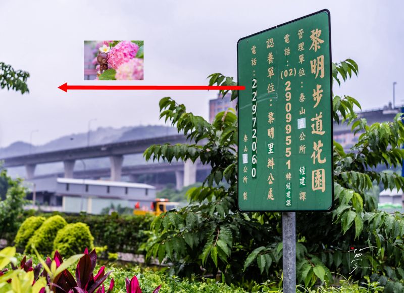 攝影:愛心夢\FB:https://www.facebook.com/Love.Heart.Dream.Blog