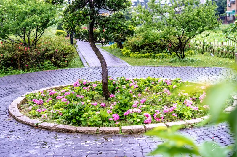 攝影:愛心夢\FB:https://www.facebook.com/Love.Heart.Dream.Blog