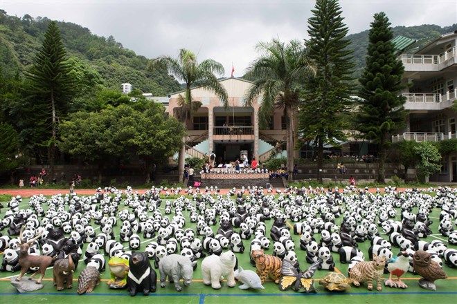 可愛迷死人 紙貓熊將現身南投-欣台灣-欣傳媒旅遊頻道