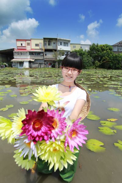 羅東採蓮 吸蜜花現小確幸 欣傳媒