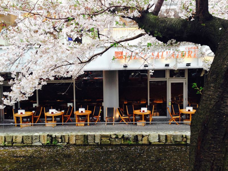 來到京都高瀨川畔，在櫻花花海下品嘗好吃的 PIZZA SALVATORE。（圖片提供：李清志）
