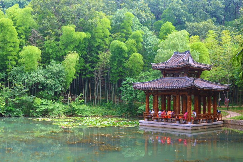 湖中小亭(圖片來源:陳浪提供)