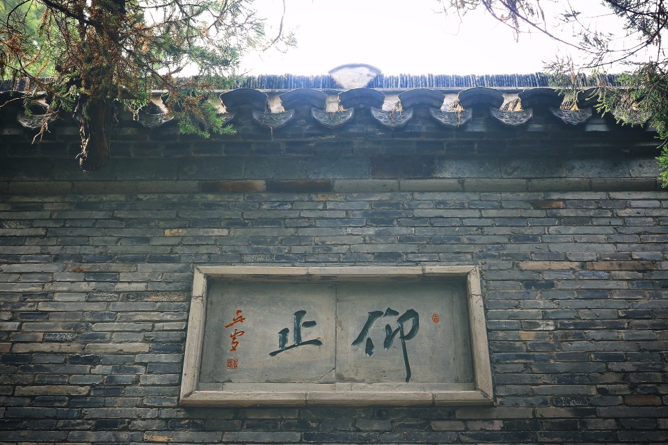 雨中仰止(圖片來源:陳浪提供)