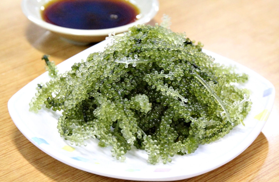 老爺爺與小老婆__isky.life,愛天空的生活