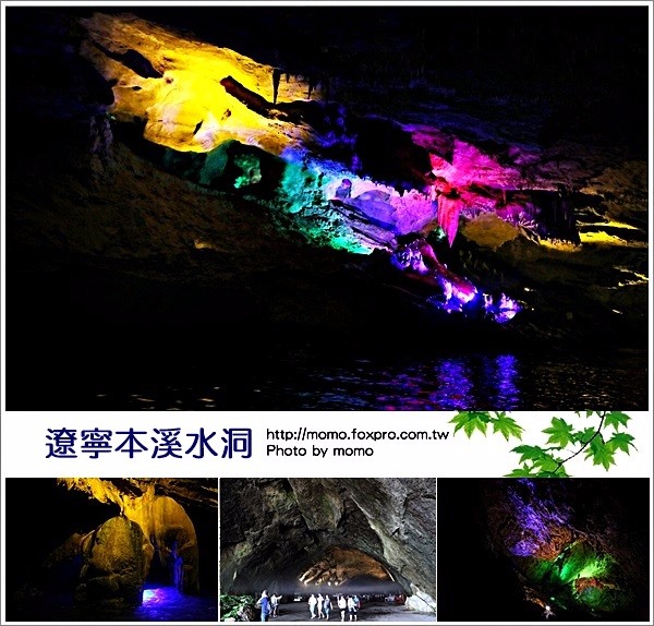 (圖片/陳摸摸提供)