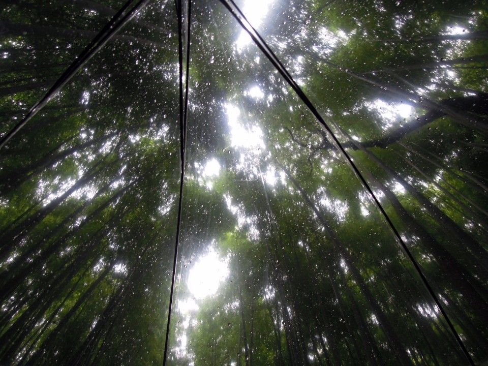 嵯峨野 竹林の道