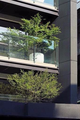 大安賦;圖片提供:許華山建築師事務所