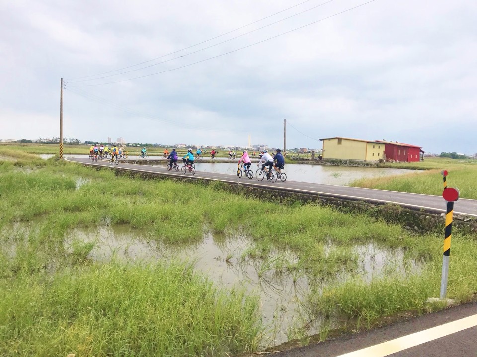 車友魚貫騎行於宜蘭伯朗大道,景象如圖畫一般。(photo by 小華)