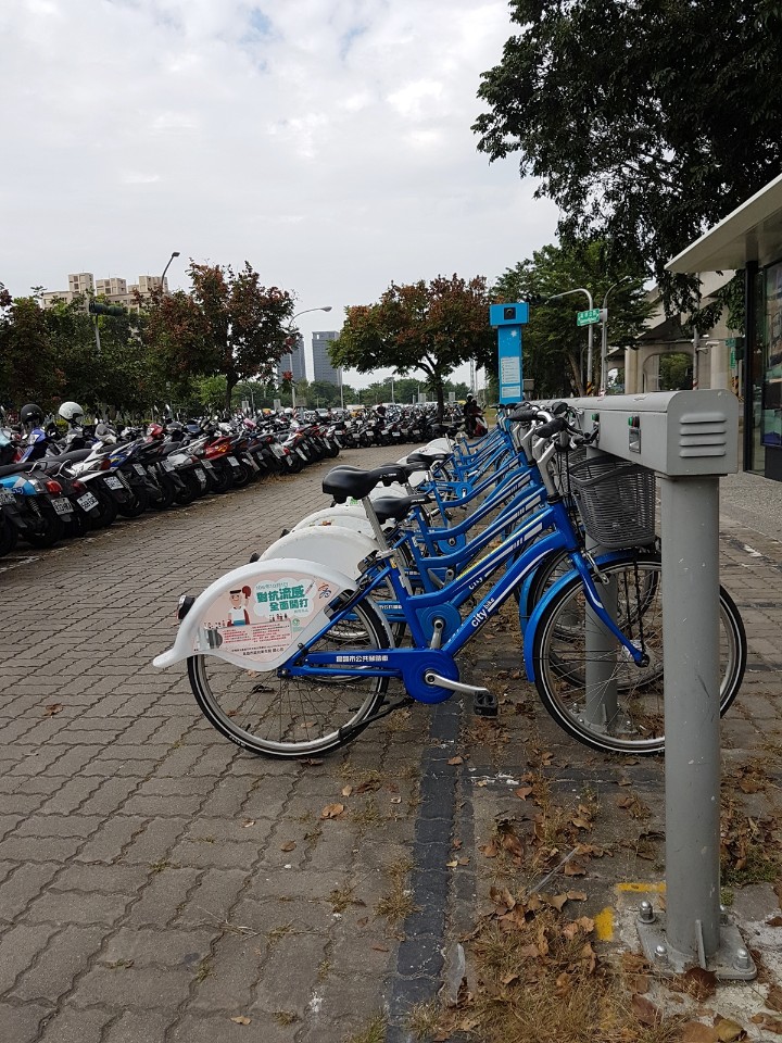 騎乘單車 親親大自然 高雄都會公園 欣傳媒