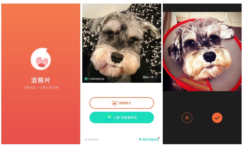 活照片APP使用步驟/圖 酸鼻子整理