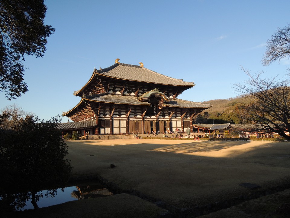 日本 奈良東大寺參拜大佛 可愛的神之使者 奈良鹿 旅行青蛙 欣傳媒