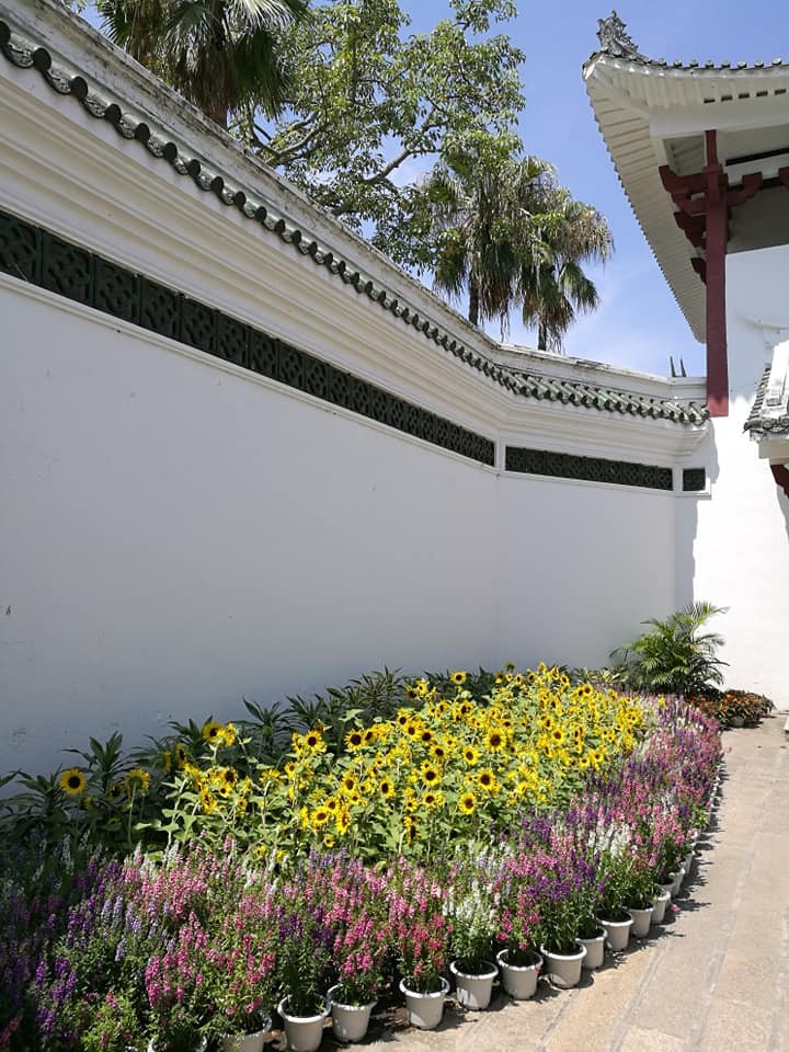 廈門景點 鼓浪嶼 菽庄花園超豪華版林家花園推薦必去 花洛米一起去玩耍 欣傳媒旅遊頻道