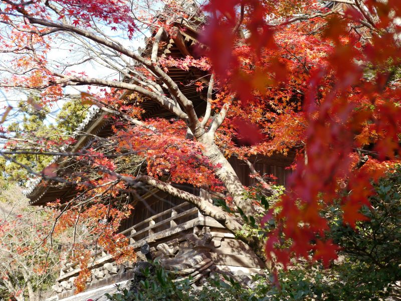 前往山口功山寺找尋歷史與秋楓下的旅行名所 欣旅遊bonvoyage 欣傳媒旅遊頻道