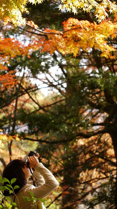 前往山口功山寺找尋歷史與秋楓下的旅行名所 欣旅遊bonvoyage 欣傳媒旅遊頻道