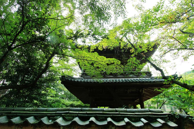 前往山口功山寺找尋歷史與秋楓下的旅行名所 欣日本 欣傳媒旅遊頻道