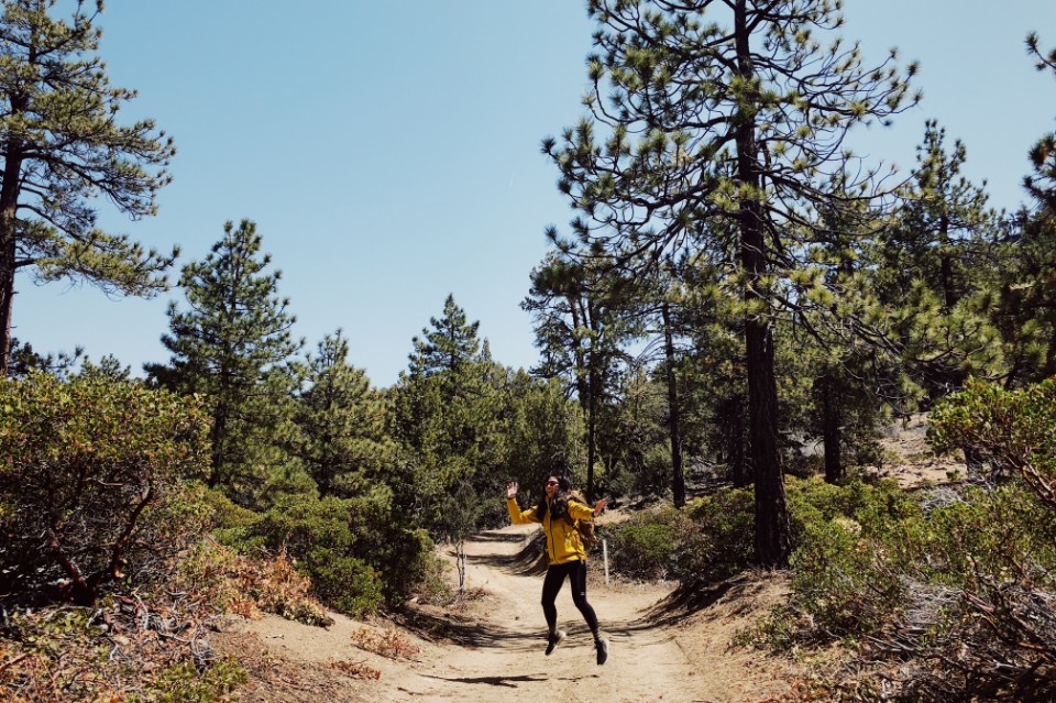 美國 洛杉磯 大熊湖（Big Bear Lake）美洲獅鬃毛步道（Cougar Crest Trail）