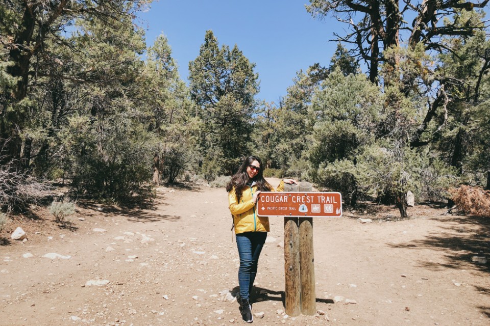 美國 洛杉磯 大熊湖（Big Bear Lake）美洲獅鬃毛步道（Cougar Crest Trail）