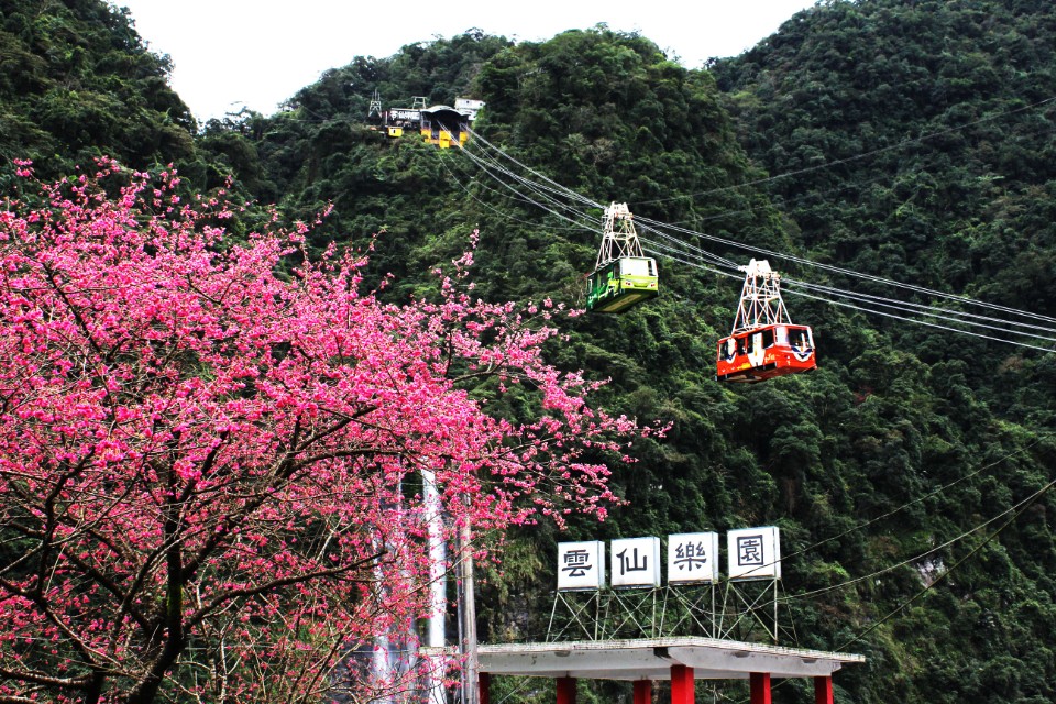 【旅遊】新北烏來小旅行 - 內洞國家森林遊樂區、雲仙樂園