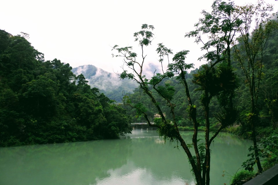 【旅遊】新北烏來小旅行 - 內洞國家森林遊樂區、雲仙樂園