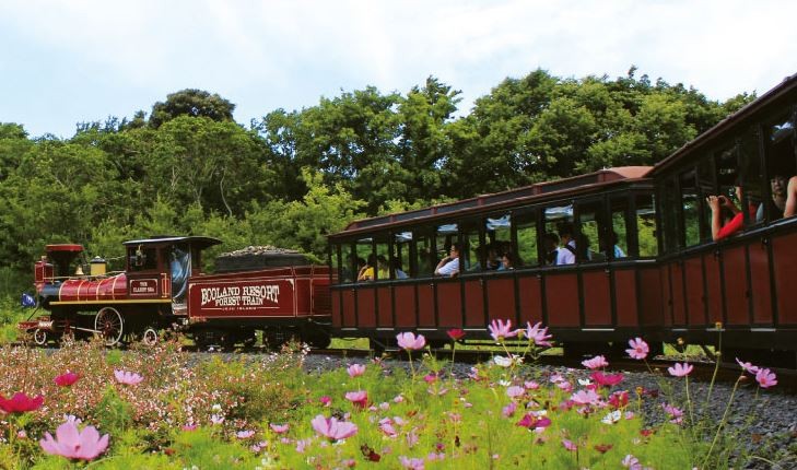 【旅遊】秋遊韓國濟州 - 乘坐英式小火車探訪「EcoLand