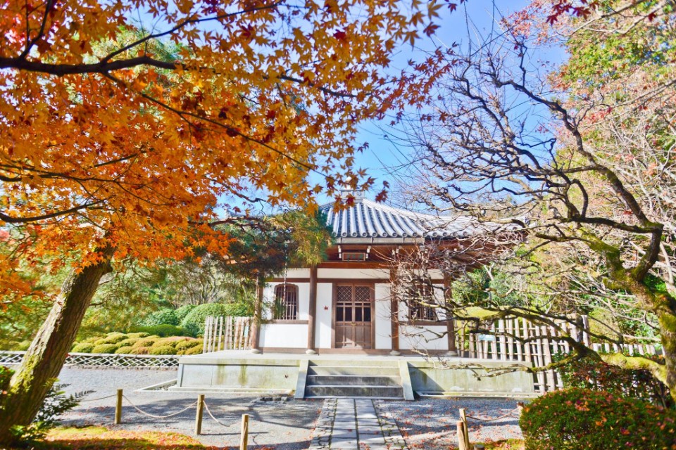 喫小茶的上洛日記第八章龍安寺 欣傳媒