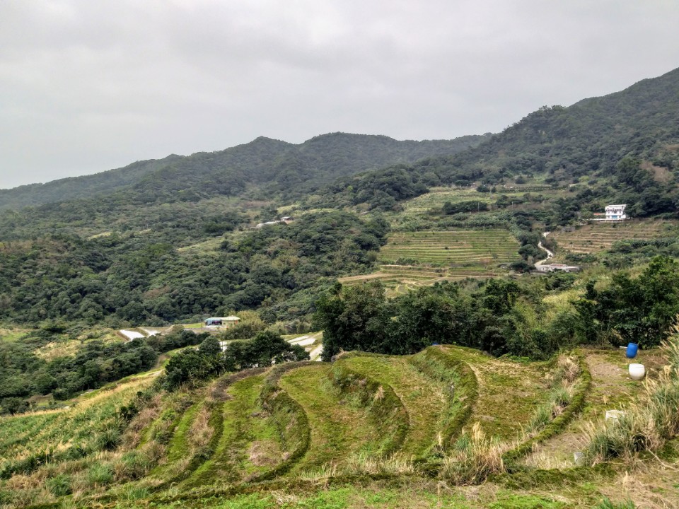 【旅遊】北海岸農家小旅行 - 嵩山社區、高厝聚落、陽明山天籟