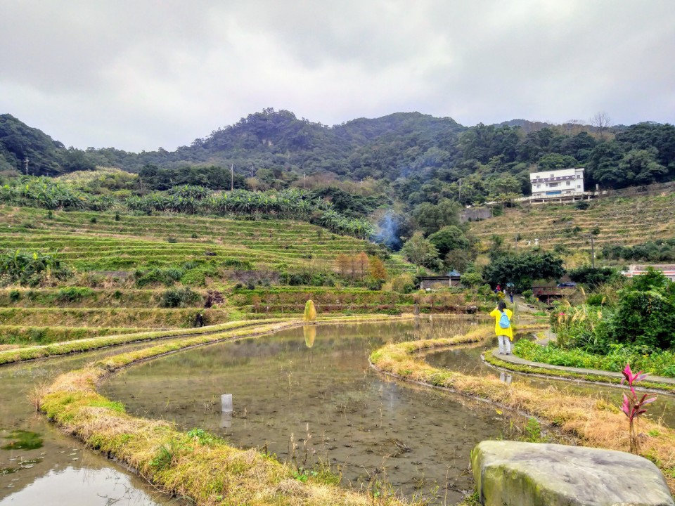 【旅遊】北海岸農家小旅行 - 嵩山社區、高厝聚落、陽明山天籟