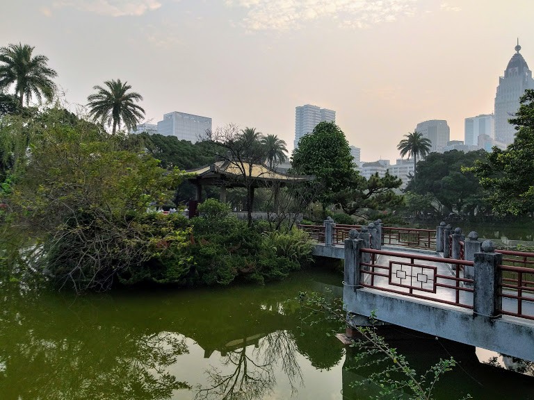 【旅遊】2020國父紀念館賞櫻花，河津櫻滿開、點點八重櫻、杜