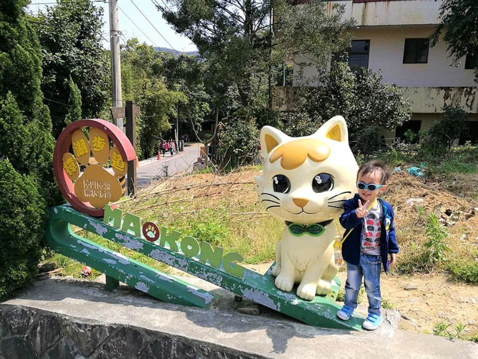 台北景點】文山區。搭纜車到貓空看魯冰花走樟樹步道享受山上的好空氣 