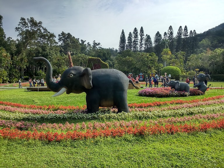 【旅遊】台北市賞花小旅行 - 「2019士林官邸鬱金香展」，