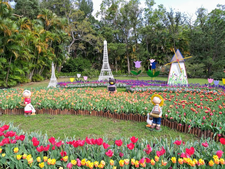 【旅遊】台北市賞花小旅行 - 「2019士林官邸鬱金香展」，