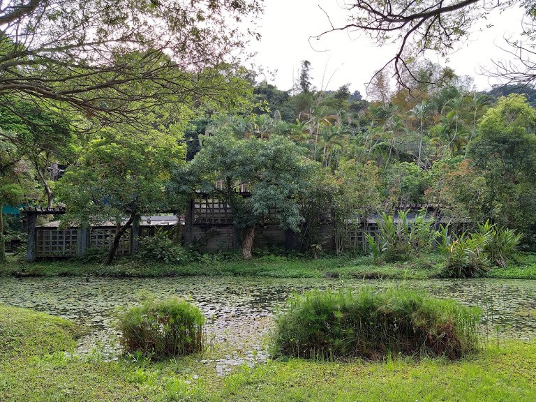 【旅遊】台北市賞花小旅行 - 「2019士林官邸鬱金香展」，