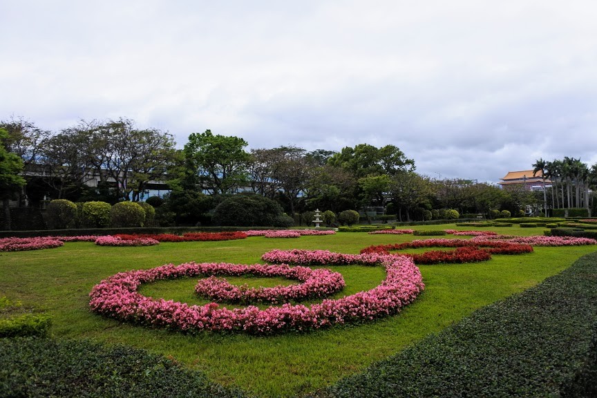 【旅遊】2019台北玫瑰園-春季玫瑰展，「愛麗絲夢遊仙境」經