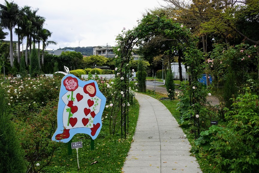 【旅遊】2019台北玫瑰園-春季玫瑰展，「愛麗絲夢遊仙境」經