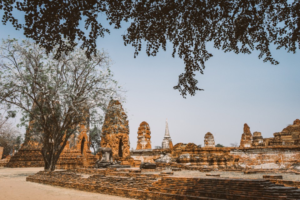 泰國大城自由行|Ayutthaya古都一日遊,交通、必去景點攻略