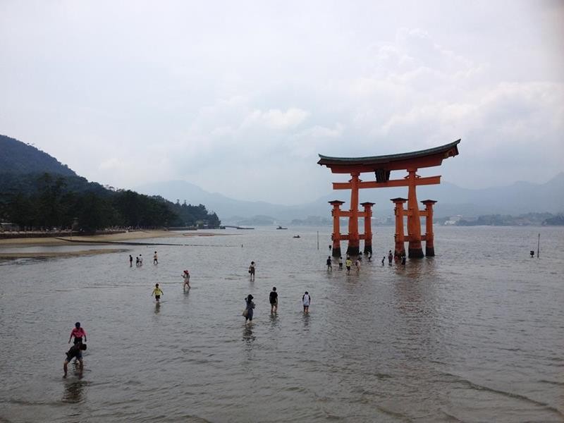 再見了 海上鳥居 日本國寶級世界遺產 嚴島神社大鳥居 19年6月起進入封閉整修期 欣傳媒