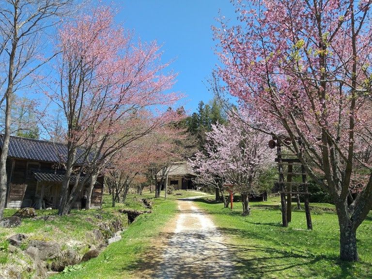 【旅遊】2019春遊日本東北 - 岩手「遠野故鄉村」，探堺雅