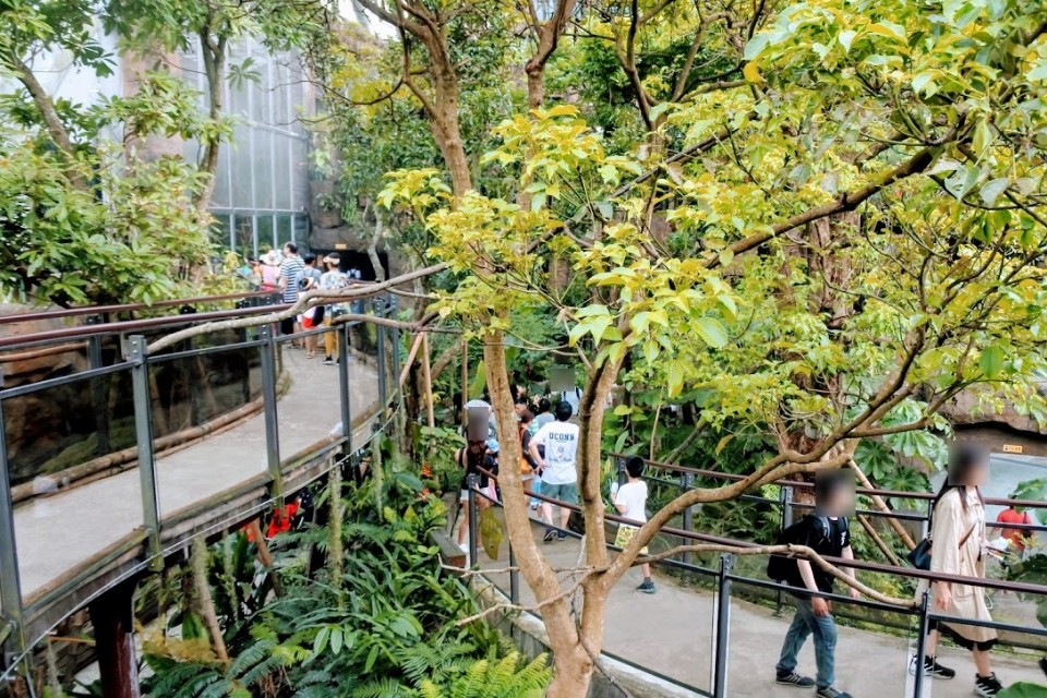 【旅遊】台北市立動物園-穿山甲館，來看真實的水豚君及馬來貘(