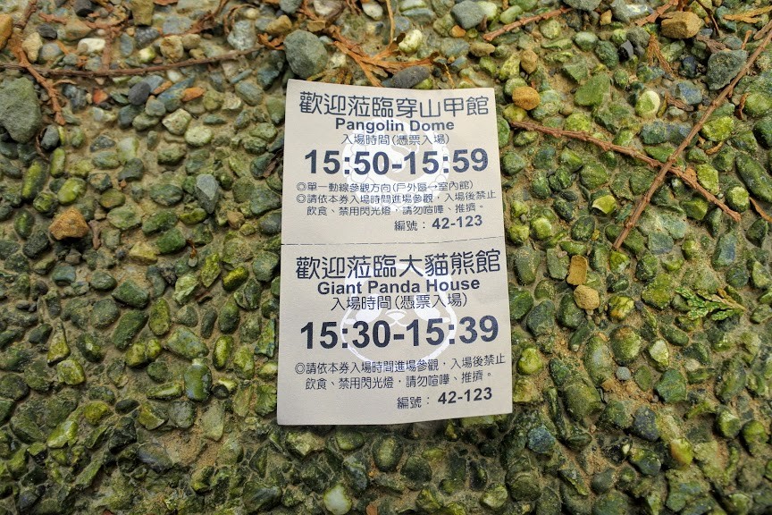 【旅遊】台北市立動物園-穿山甲館，來看真實的水豚君及馬來貘(