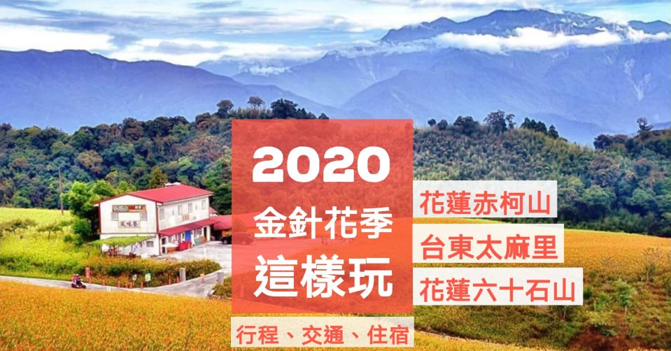 2020金針花季 台東太麻里金針花 國際知名賞花地 花況 交通接駁車 住宿推薦 欣傳媒