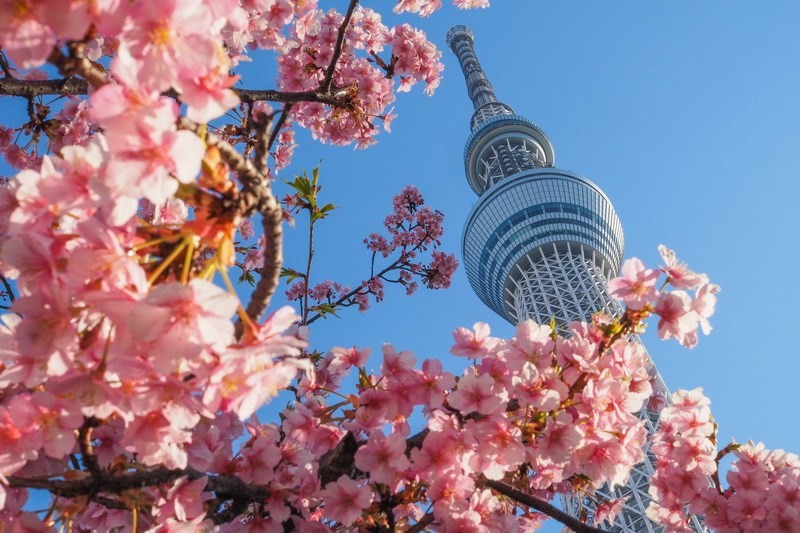 東京攝點筆記 日本自助旅拍全攻略 達人不藏私的 晴空塔 東京鐵塔 獨家視角 欣傳媒