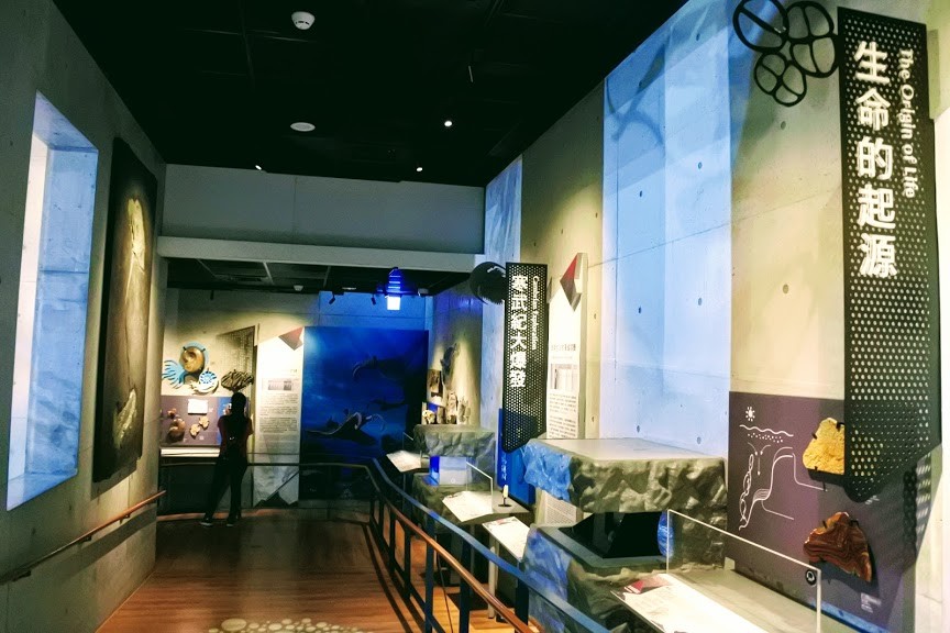 【旅遊】「臺南左鎮化石園區」，觀動物化石及自然歷史、親子旅遊