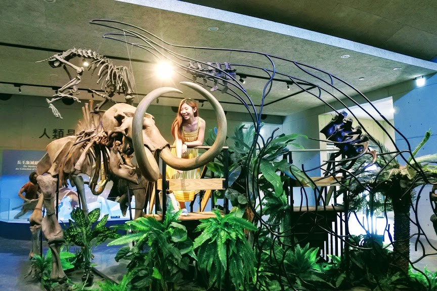 【旅遊】「臺南左鎮化石園區」，觀動物化石及自然歷史、親子旅遊