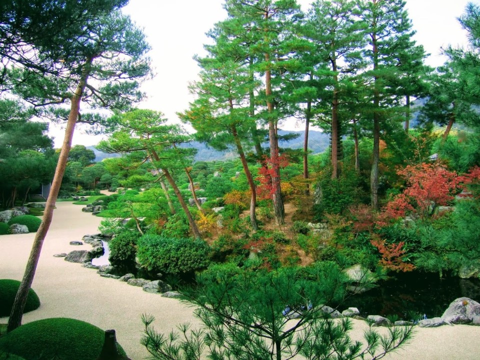【旅遊】秋遊日本山陰 - 島根「足立美術館」賞日本第一庭園、