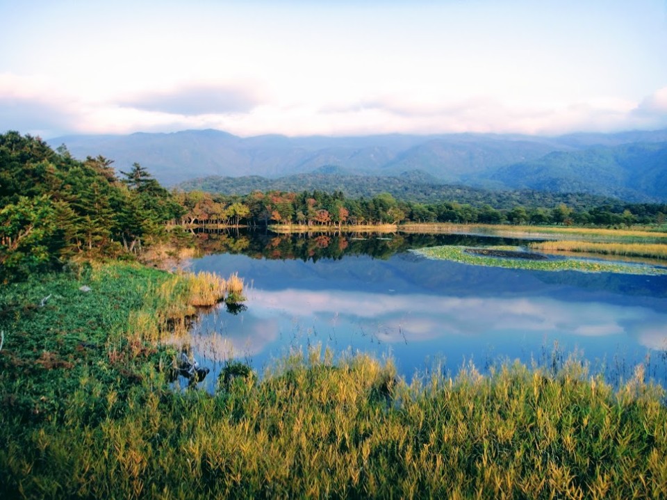 【旅遊】秋遊日本北海道 - 道東「知床五湖」木棧道散策、飽覽