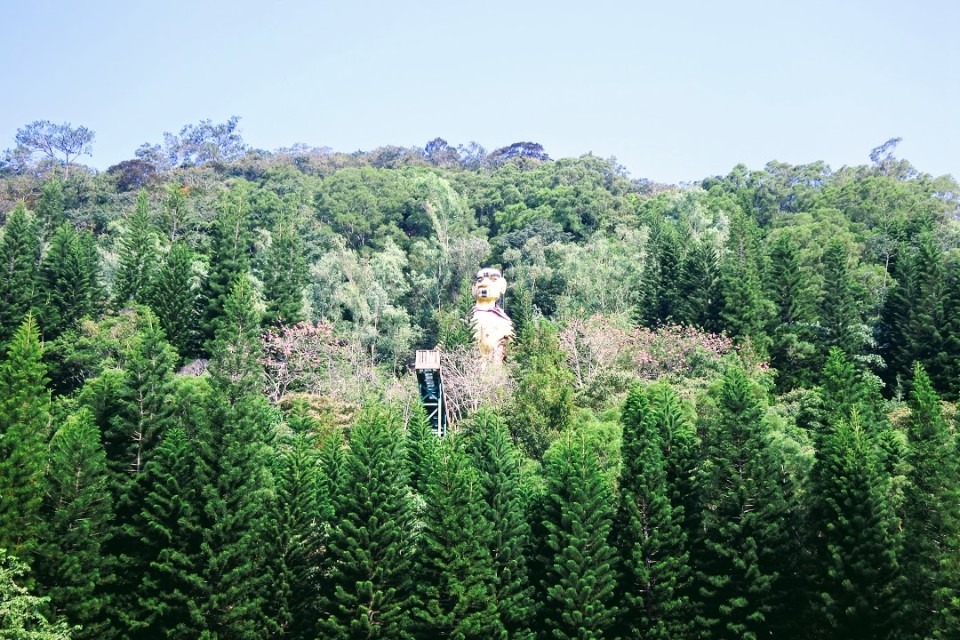 【旅遊】南投「泰雅渡假村」多元自然生態，獵人體驗、空中步道、