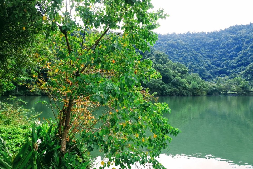 【旅遊】宜蘭「梅花湖」騎單車環湖趣，發現魯夫「惡魔果實」、吳