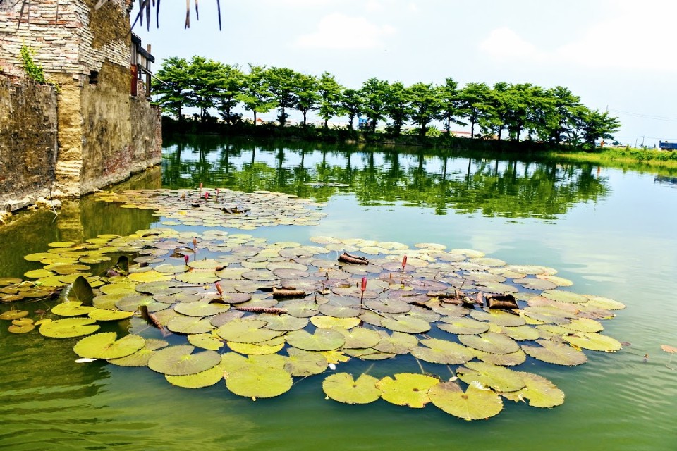 【旅遊】台南學甲「老塘湖藝術村」，瘋癲手指畫家「匡乙」精心打